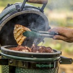 Гриль вугільний Big Green Egg Mini MAX